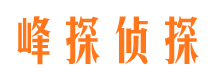 银海峰探私家侦探公司